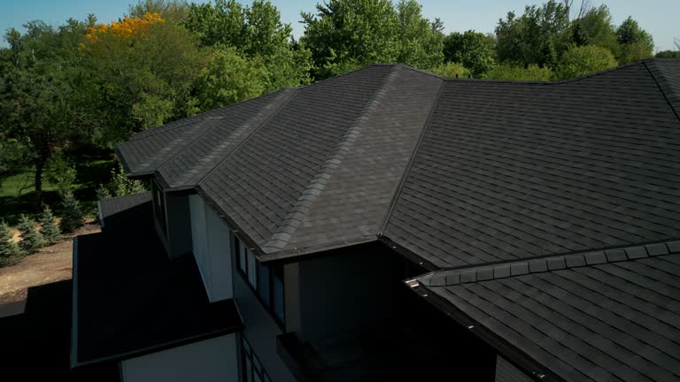 Best Chimney Flashing Repair  in Perry Heights, OH